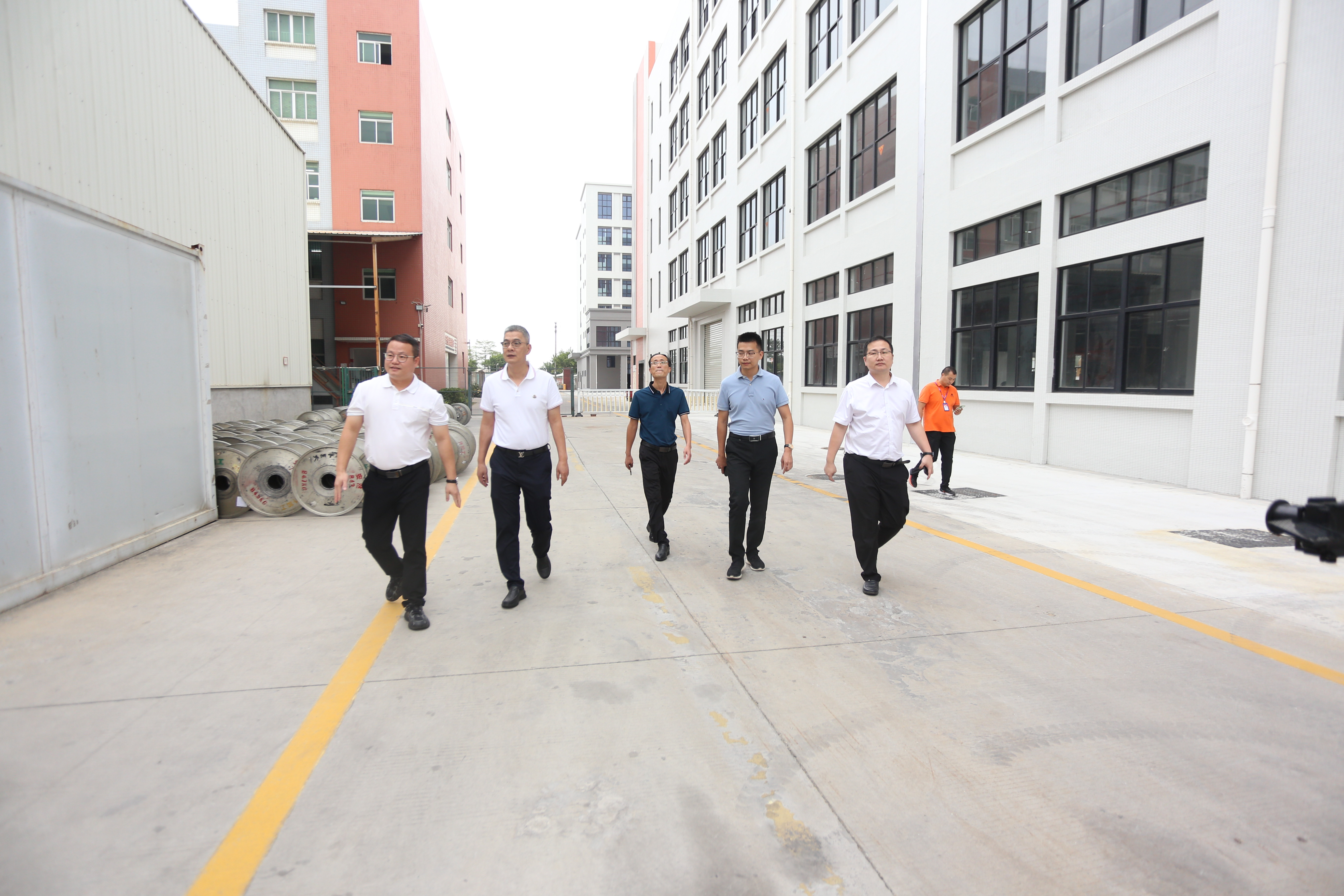 IMG_9569.JPG IMG_9569.JPG